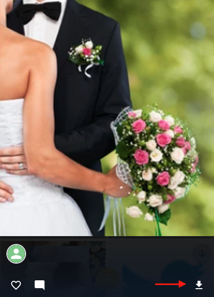 Guest - Download Button.png